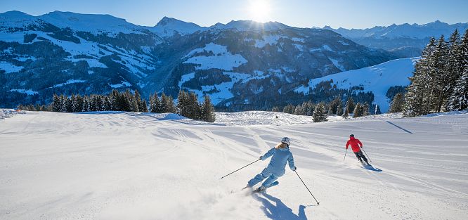 michael-werlberger-2566-2